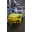 SQ-20260329-000008